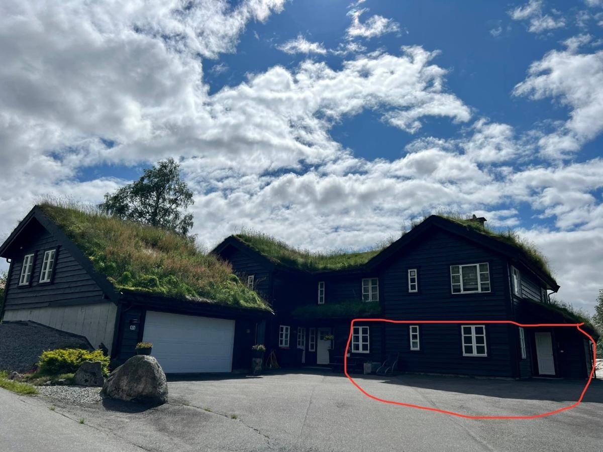 Flott Leilighet Pa Haugen I Sirdal Tjorhom Екстериор снимка