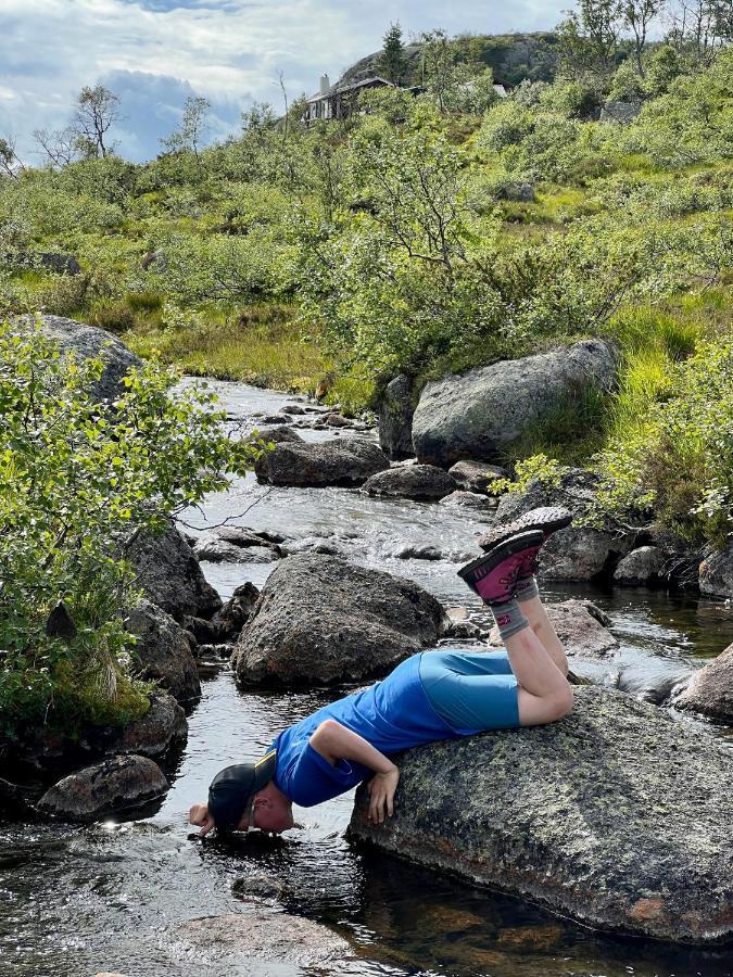 Flott Leilighet Pa Haugen I Sirdal Tjorhom Екстериор снимка